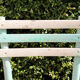 Lot de 3 chaises de jardin en bois latté