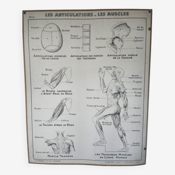 Affiche pedagogique a.hatier 11 et 11 bis