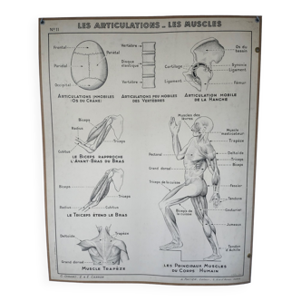 Affiche pedagogique a.hatier 11 et 11 bis