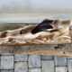 Deco vintage