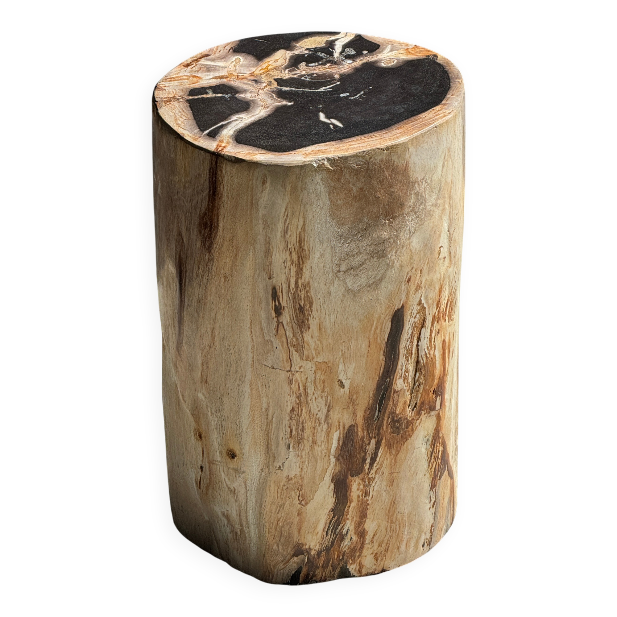 Petrified wood side table, black heart, beige bark, H35 D22 - 3330
