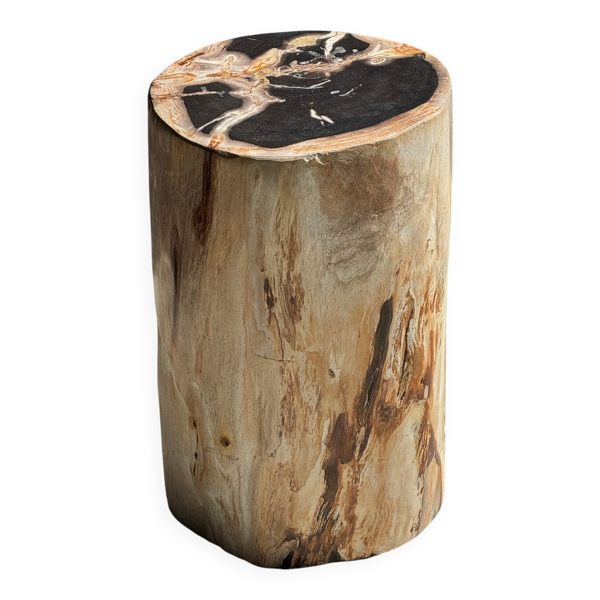 Table d'appoint en bois pétrifié coeur noir écorce beige H35 D22 - 3330