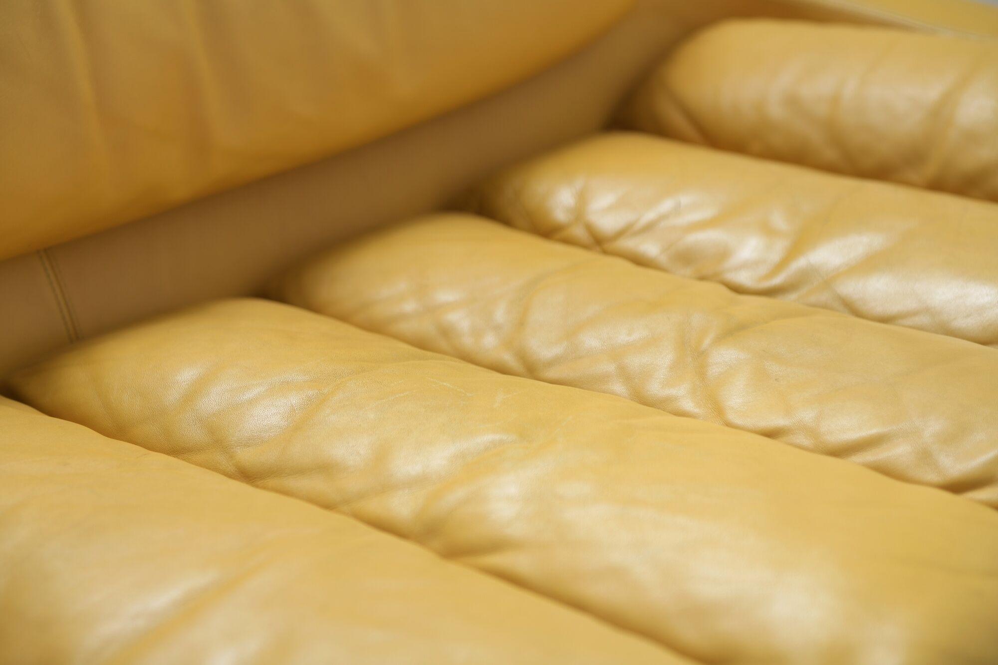 Carrera lounge chairs by Decursu De Pas D’Urbino Lomazzi for BBB Bonancina