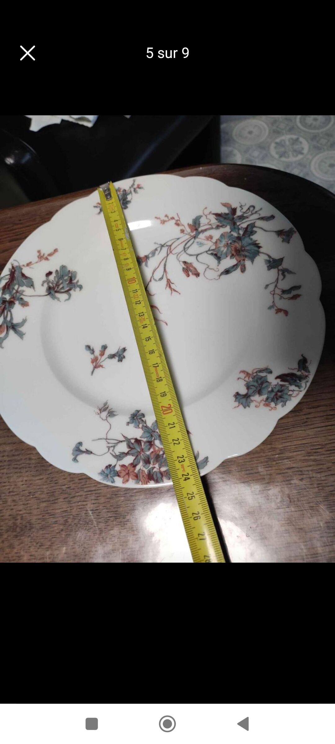 Penin violette porcelain plate in béthune (62)