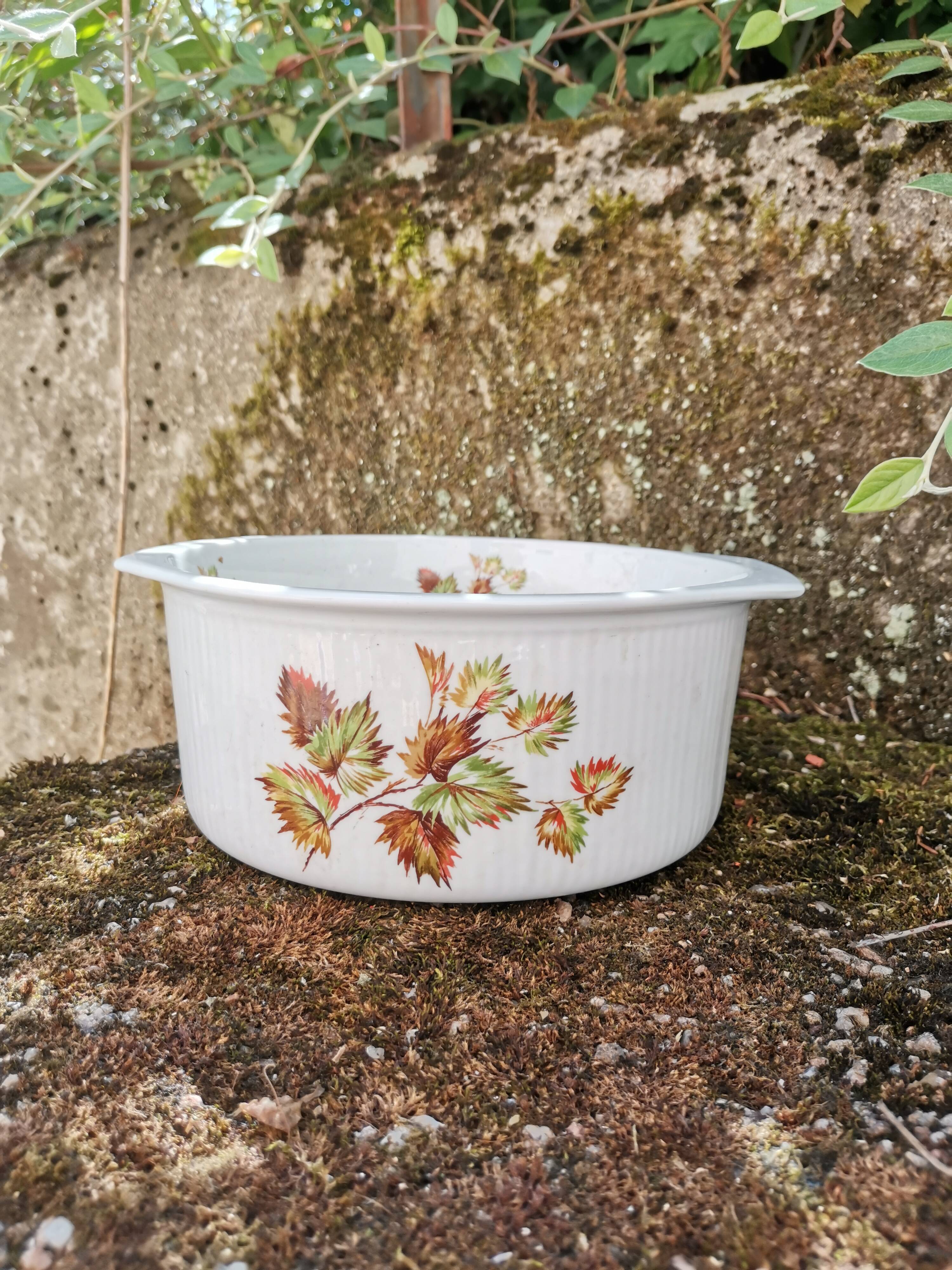 Dish Sarreguemines Digoin