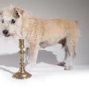 17th-century Spanish brass candlestick with square base