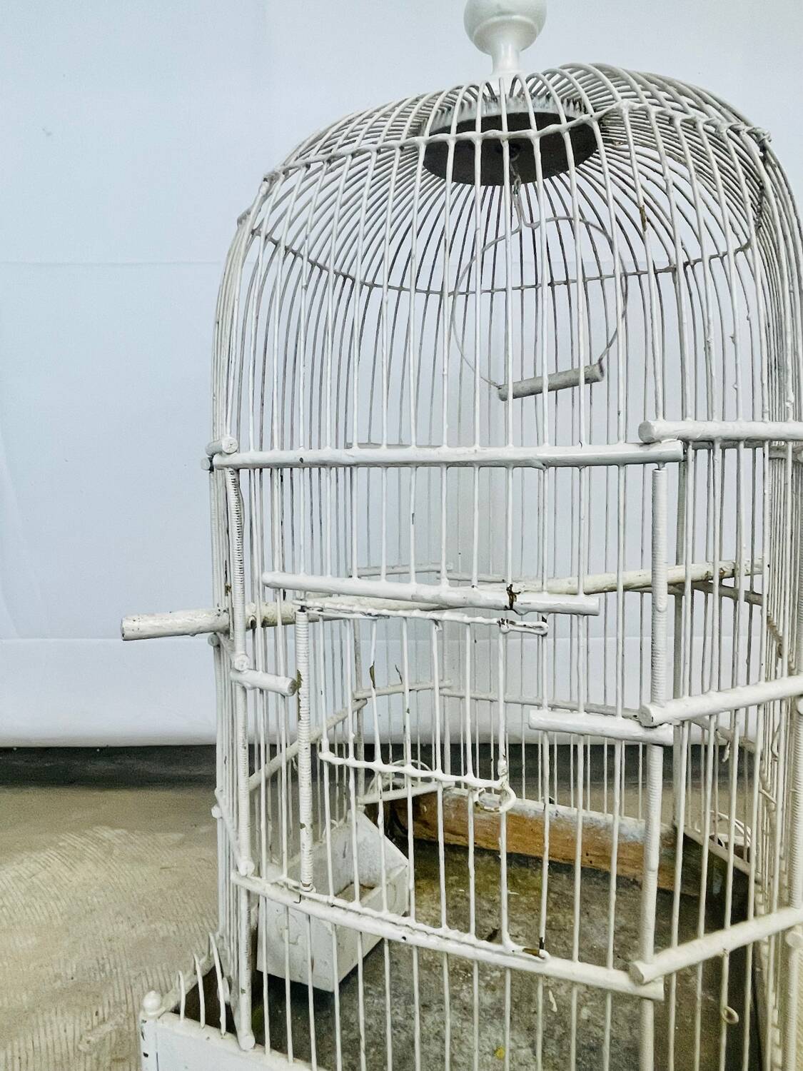 Bird cage