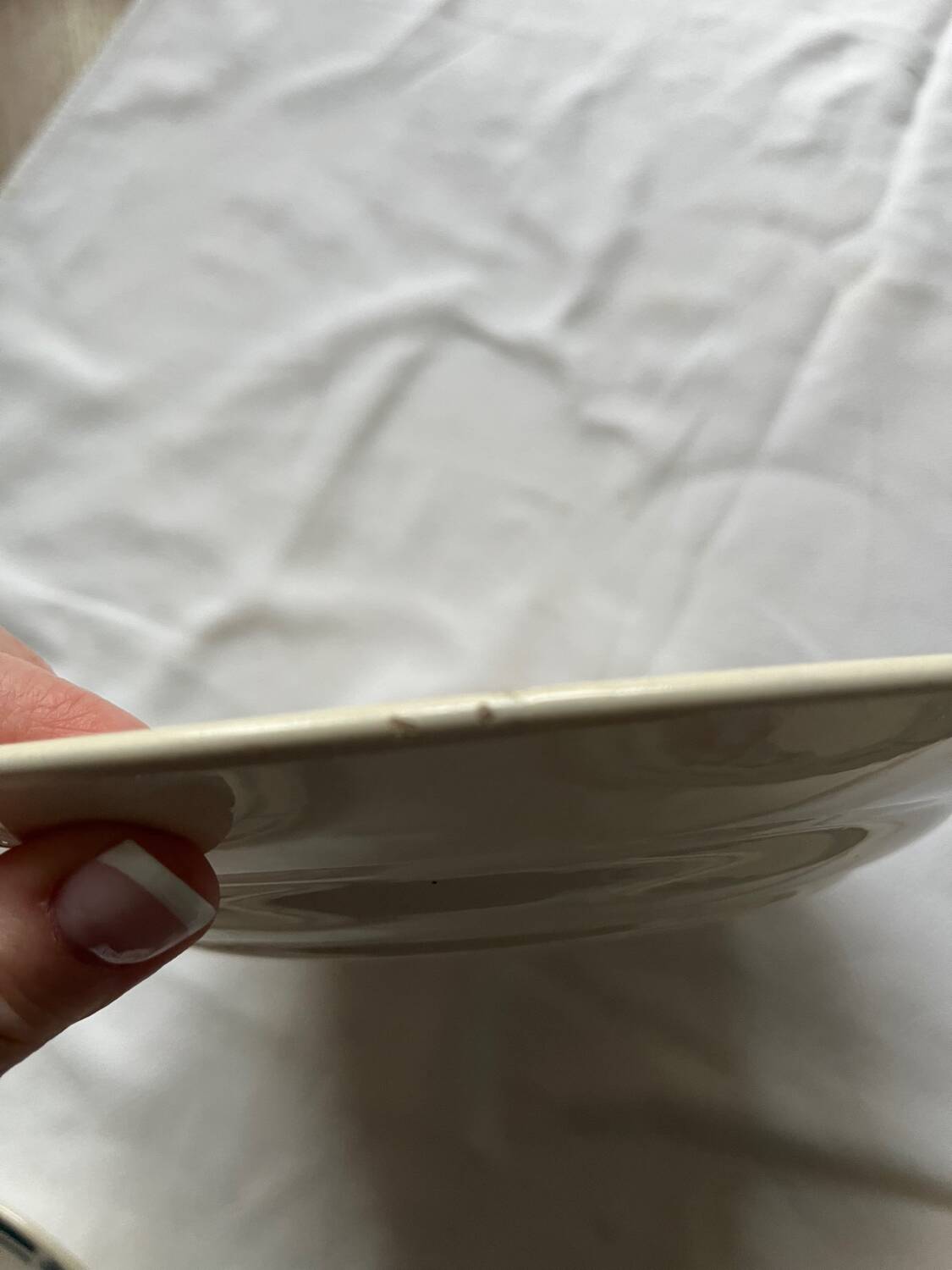 Assiettes Terre de Fer Longchamp