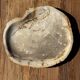 Very large pocket tray or dish in beige petrified wood D35
