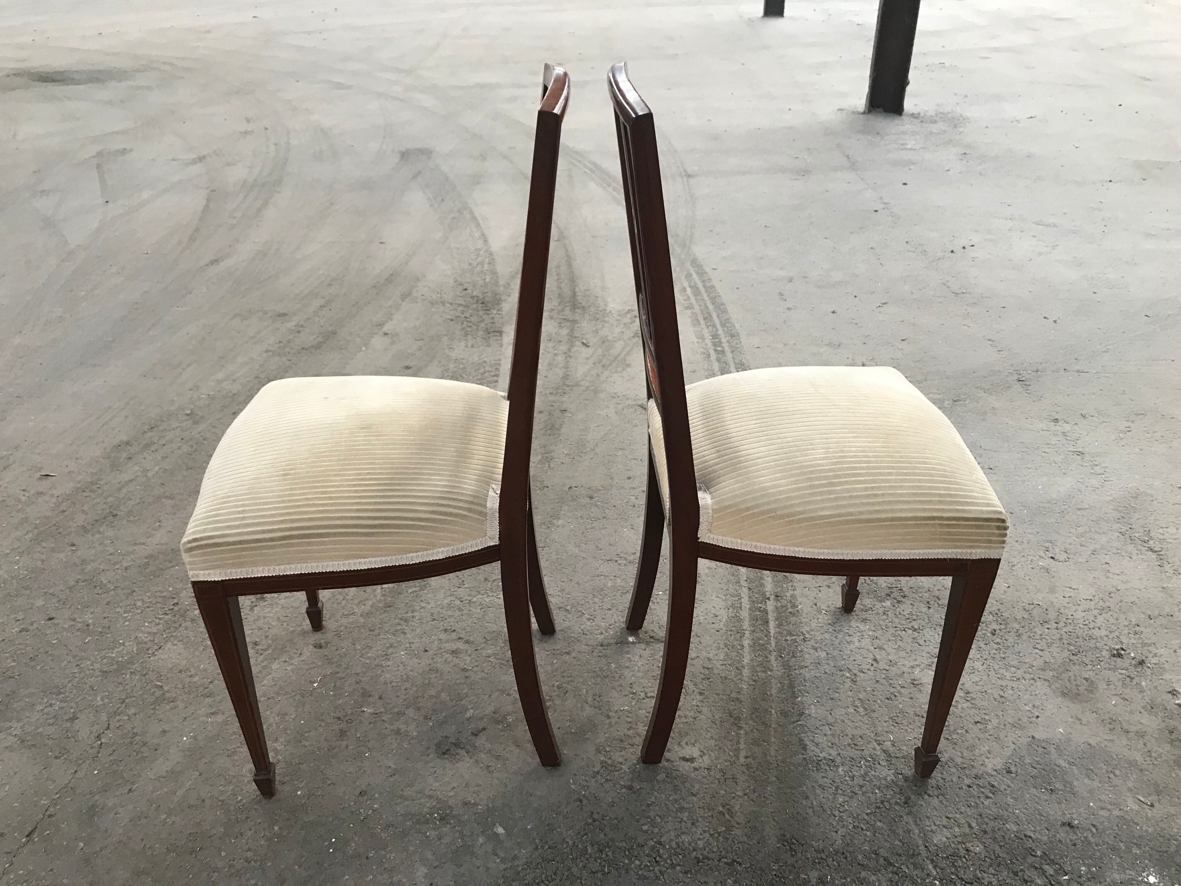 Pair of English chairs in beige velvet