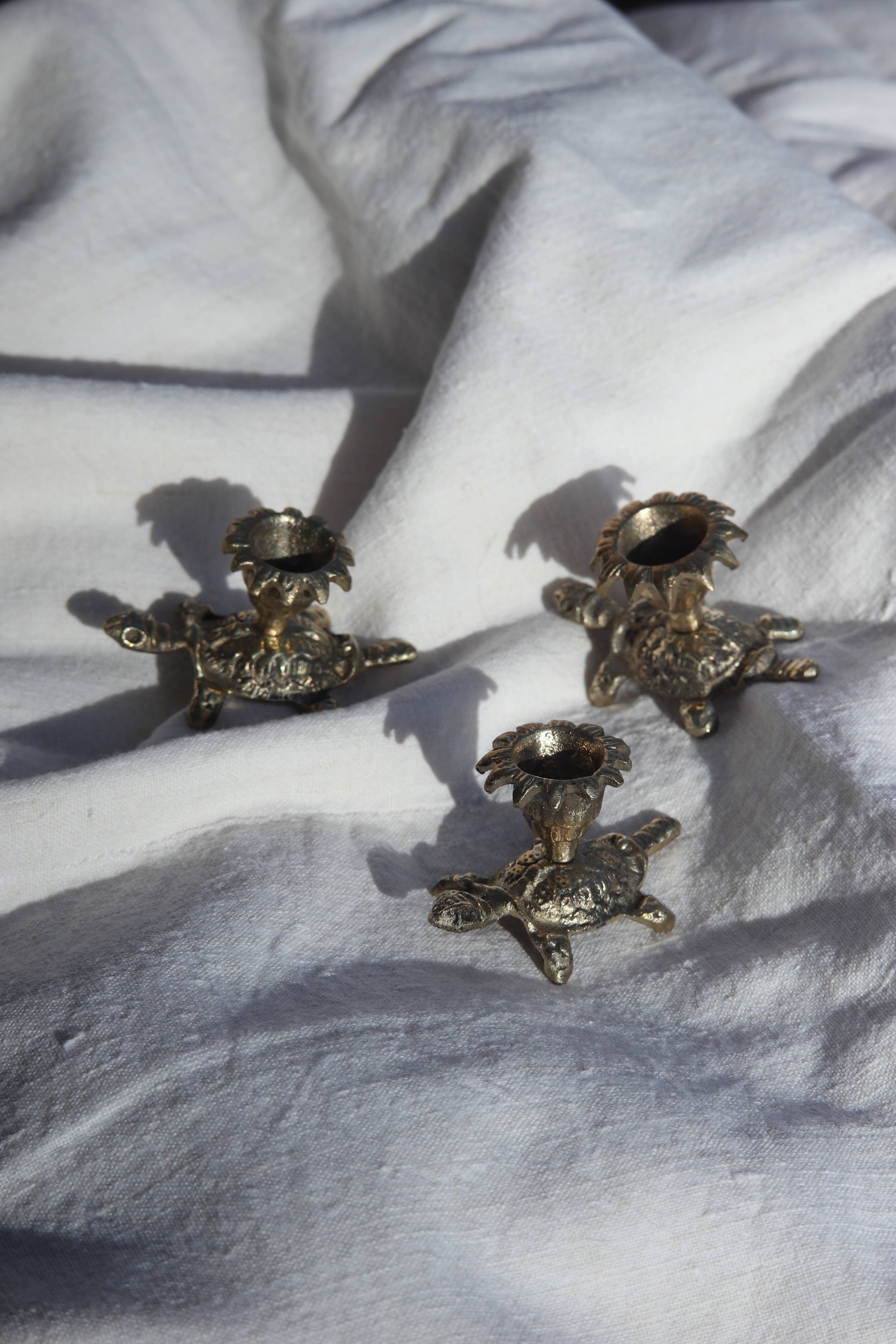 Set of candle holders palm-tortoise style