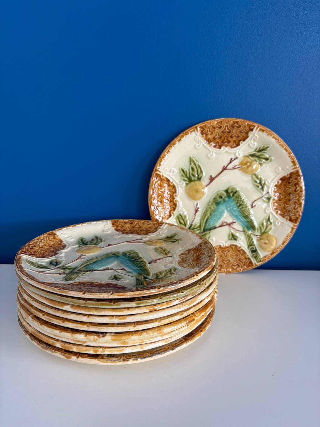Set of 2 Salins Barbotine Plates - Vintage Parakeet Decor - service