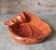 Vide poche coquillage corail