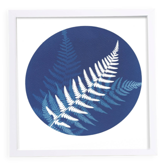 Ferns 2