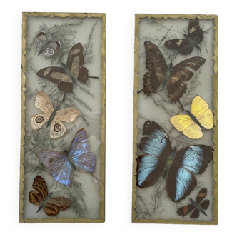 Set of 2 butterfly frames