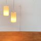 Modern mid-century German plastic suspension by Erco.