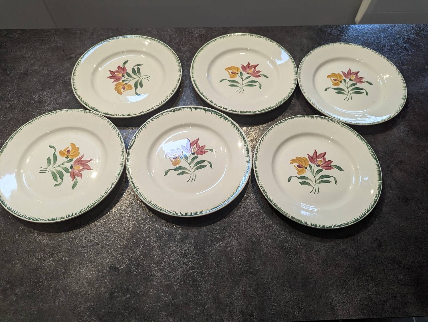 Lot of 6 antique flat plates Digoin Sarreguemines model Boby in very good condition.