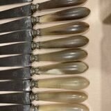 12 horn handle knives