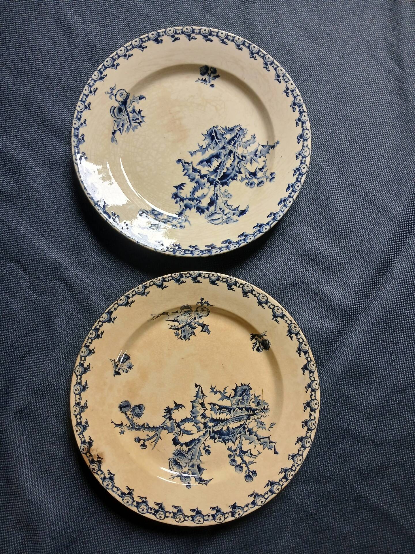 14 dinner plates + 2 "Chardons" dishes from Gien