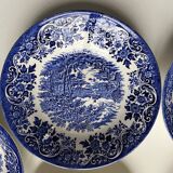 10 English blue/white soup plates