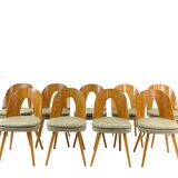 9 vintage designer dining chairs by Antonín Šuman for Tatra