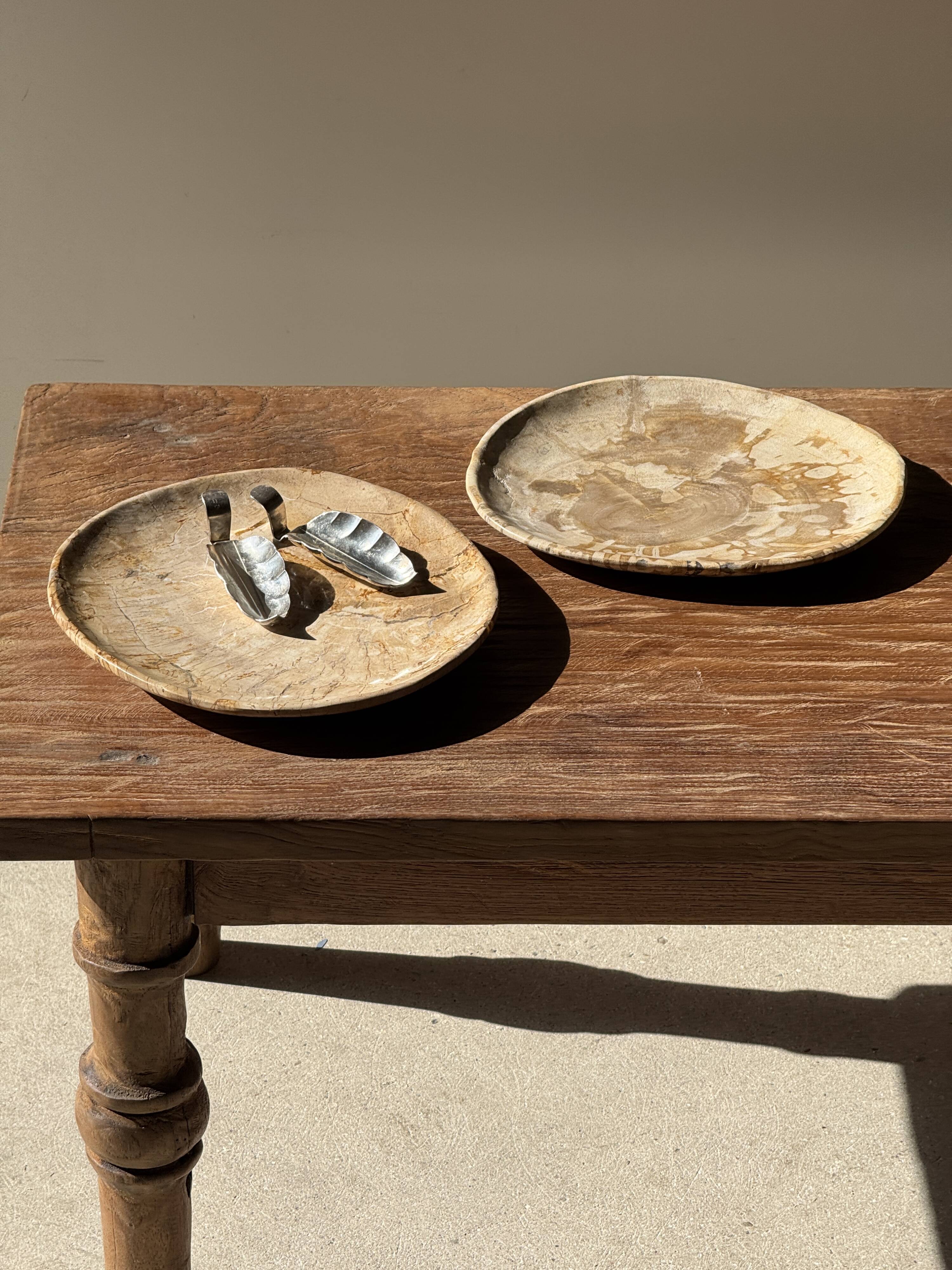 Small pocket tray or dish in speckled beige petrified wood D20 -3309