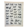 Gravure • Boeuf, vache, taureau, veau • Lithographie originale et vintage de 1898