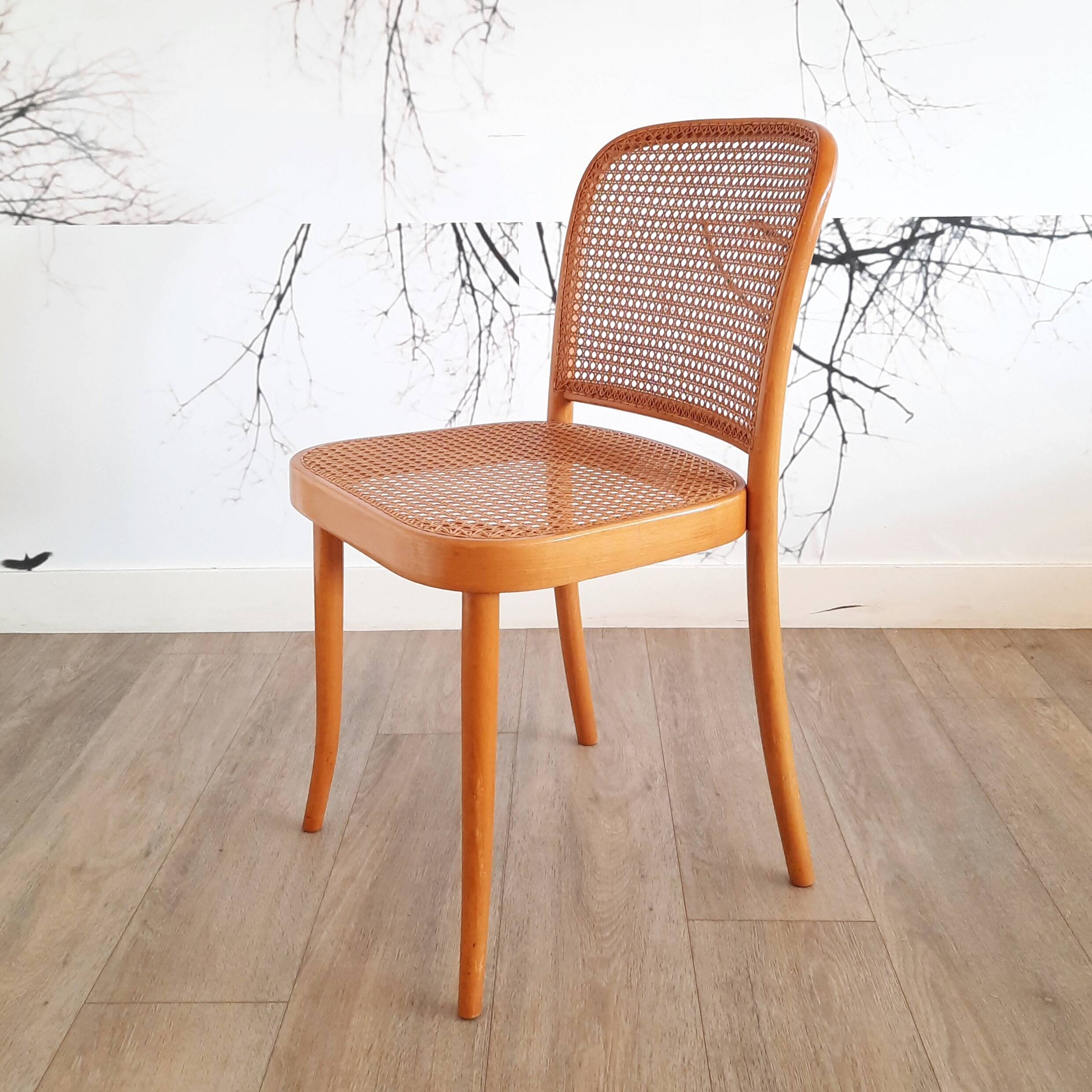 Suite de 4 chaises blondes Prague ou 811, Ligna, 1970