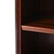Vintage bookshelf with a door