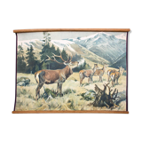 Affiche "Cerf" grille éducatif Franz Roubal 1925