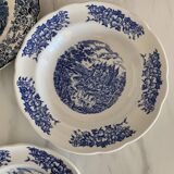 Blue Pyroblan Porcelain Plates