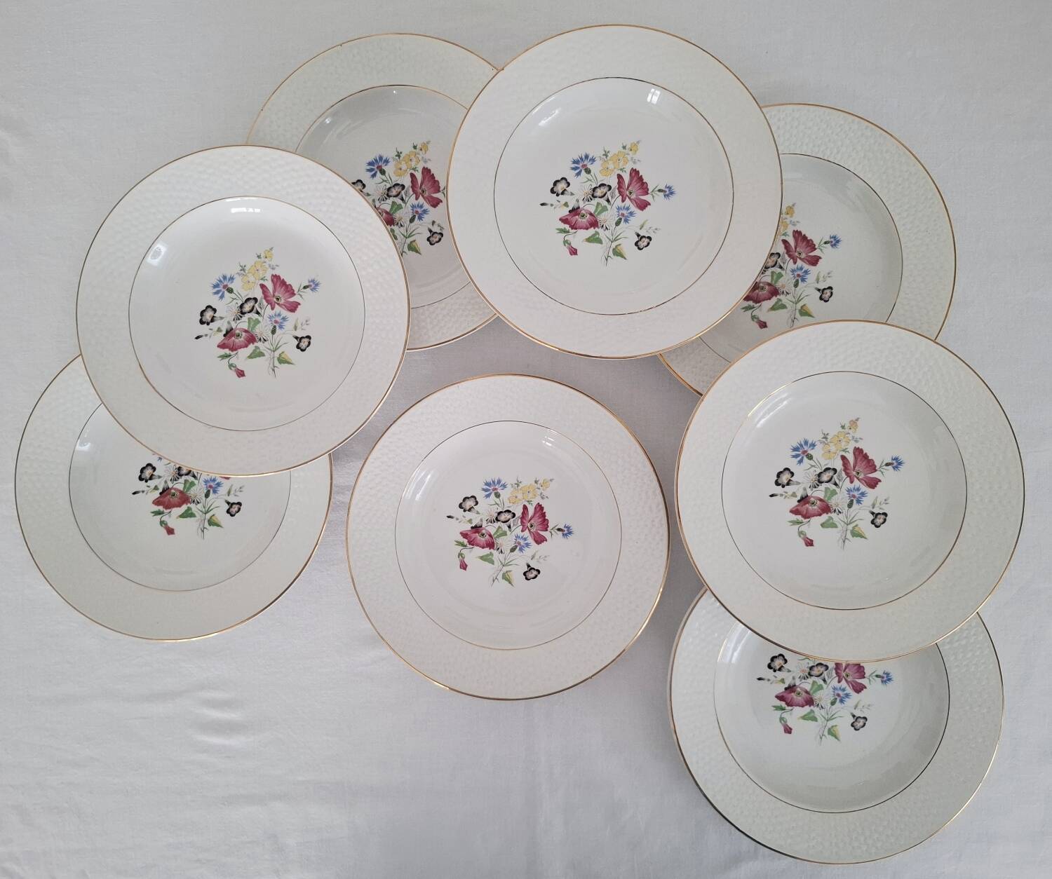 Antique Opaque Porcelain Dinner Service Digoin and Sarregue