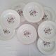 Antique Opaque Porcelain Dinner Service Digoin and Sarregue