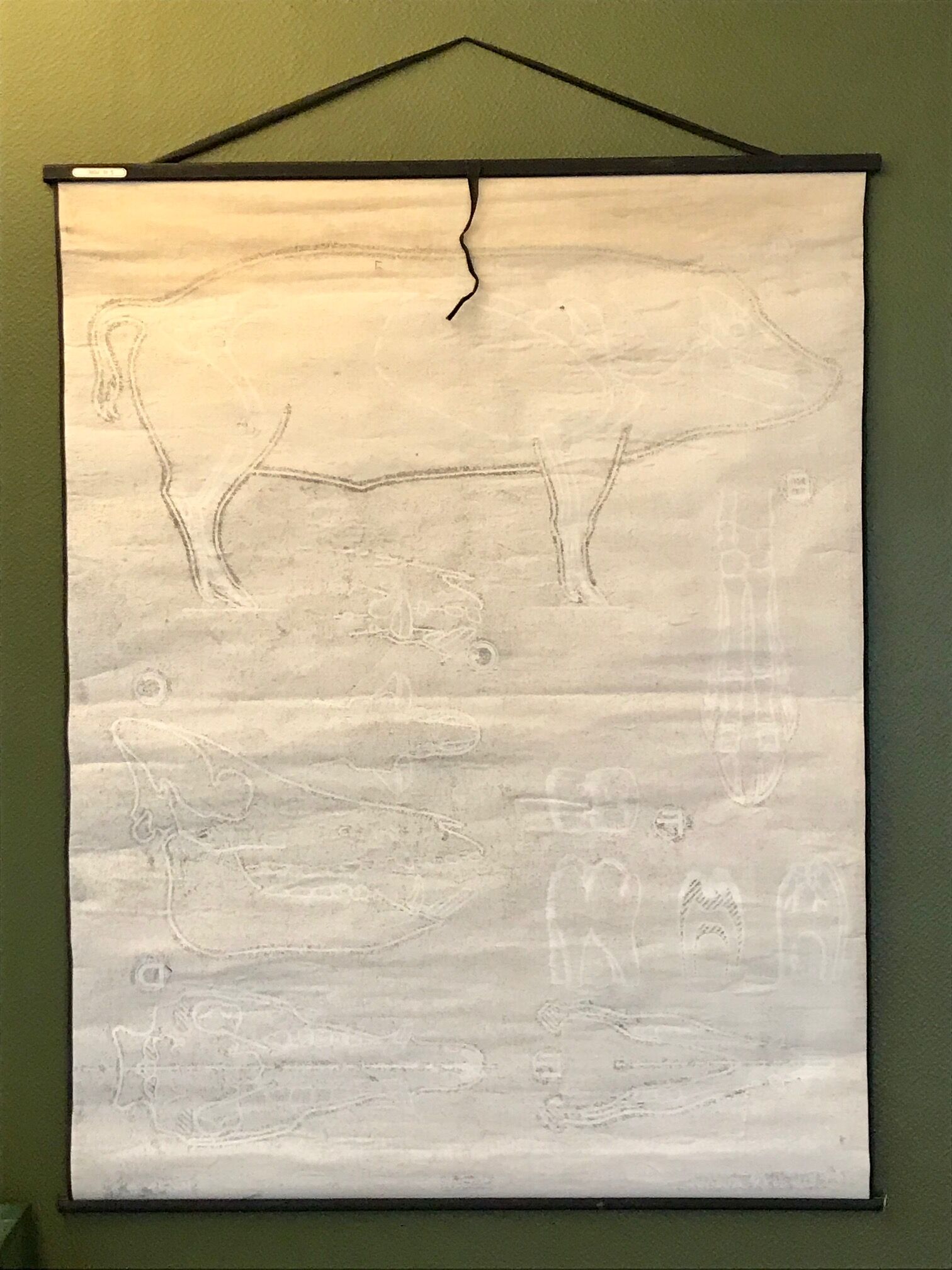 Affiche pédagogique Le Cochon