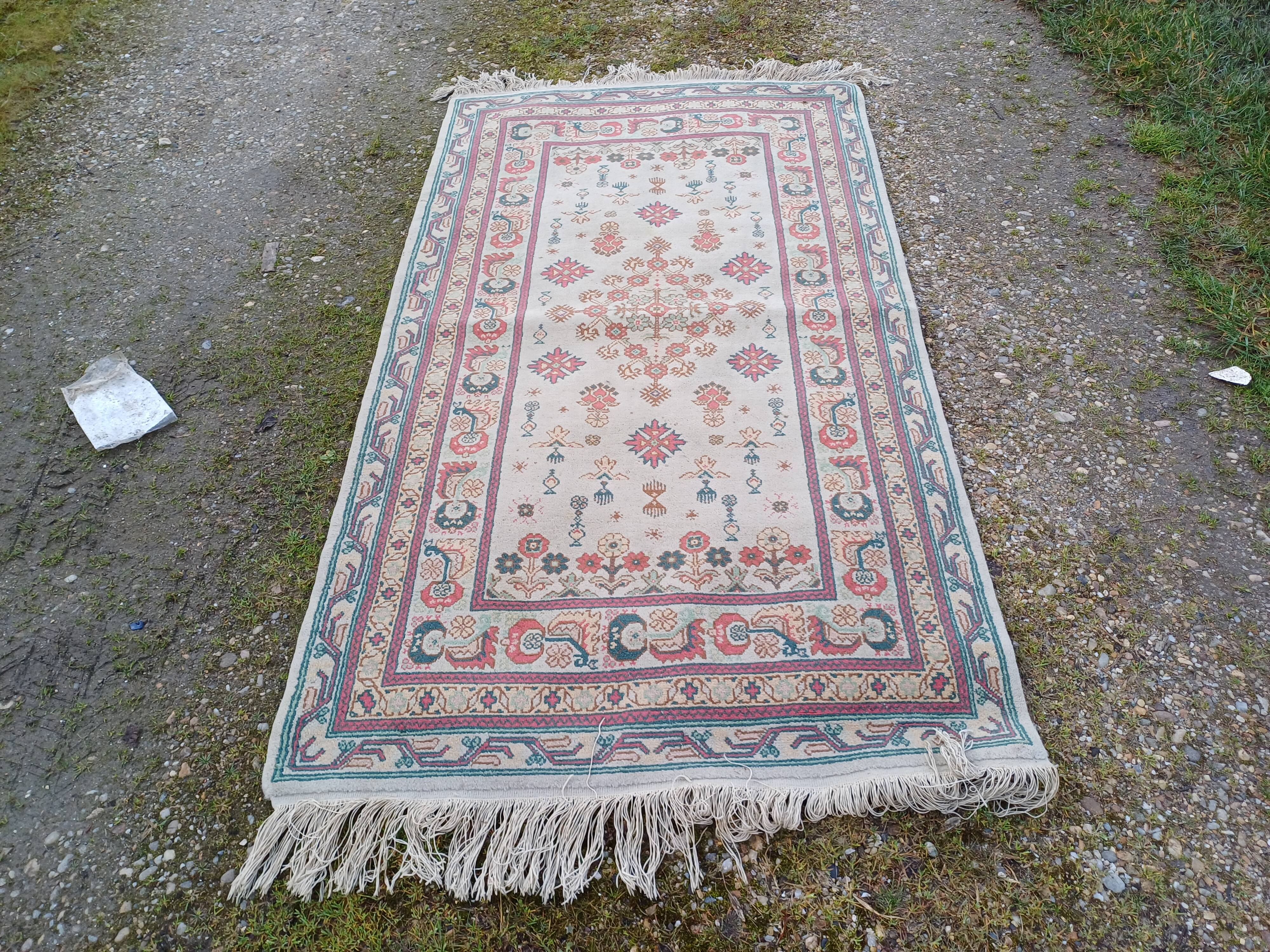 Hand-knotted wool oriental rug