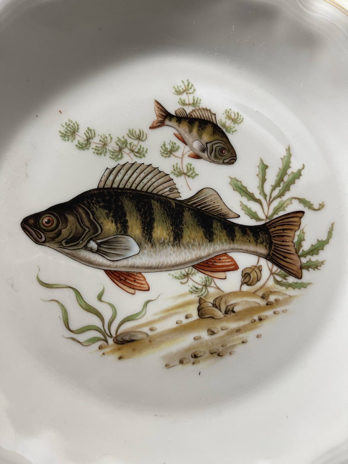 Fish plates in Limoges porcelain – Vintage service for 6