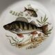 Fish plates in Limoges porcelain – Vintage service for 6
