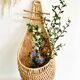 Hanging basket wall decoration