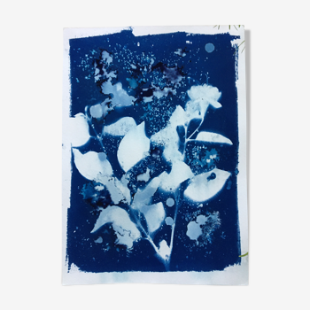 Botanical Cyanotype