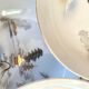 8 Hayashi Kutani bowl plates, Chinese porcelain