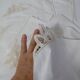 7 old embroidered napkins
