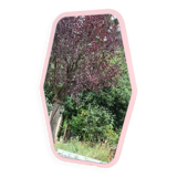Pink mirror