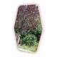Miroir rose