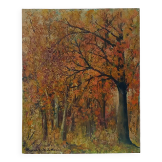 Peinture à l'huile, paysage de sous-bois