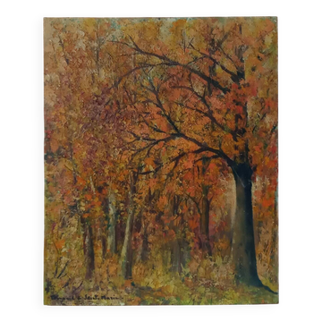 Oil painting, undergrowth landscape