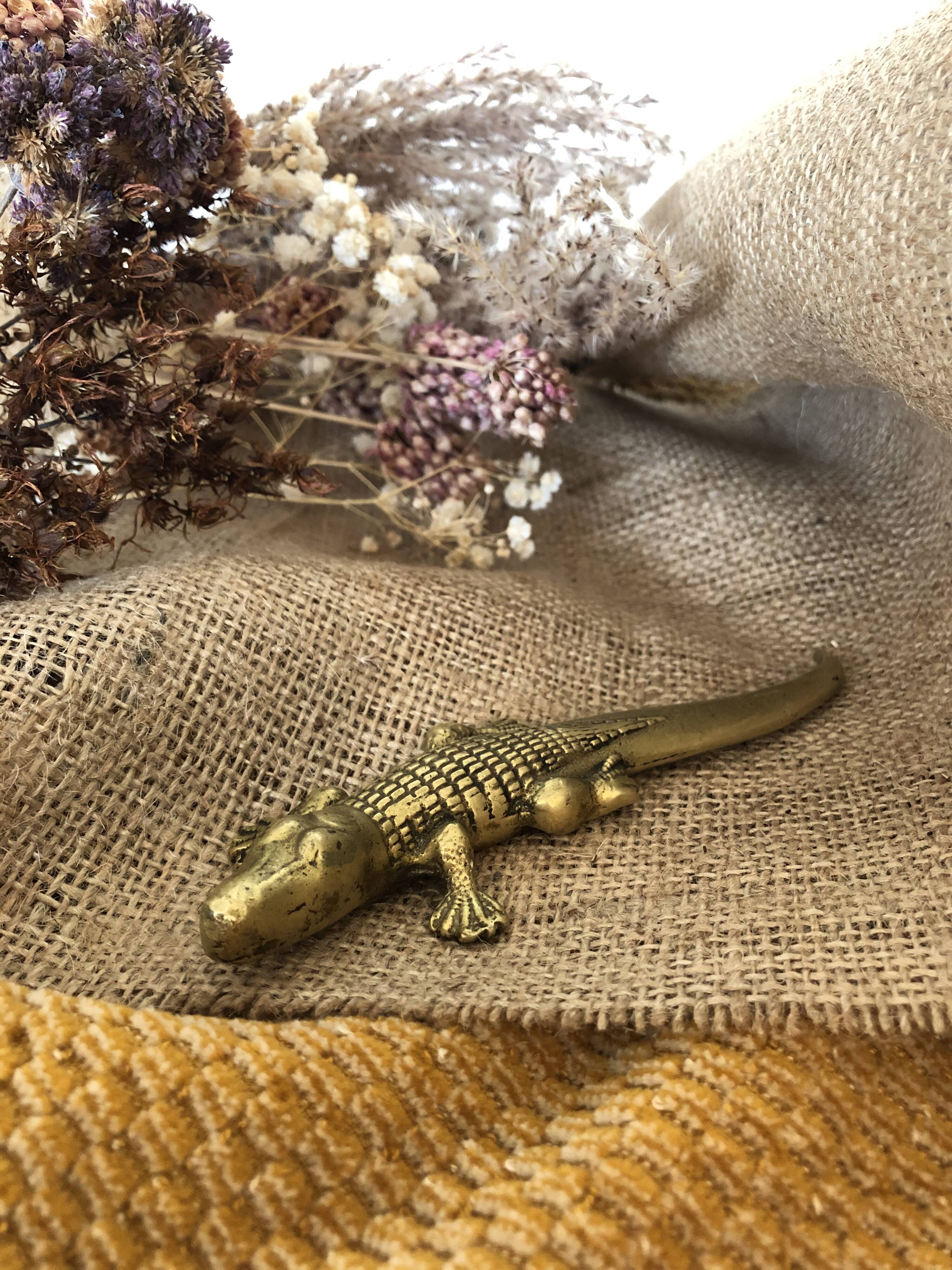 Brass Crocodile