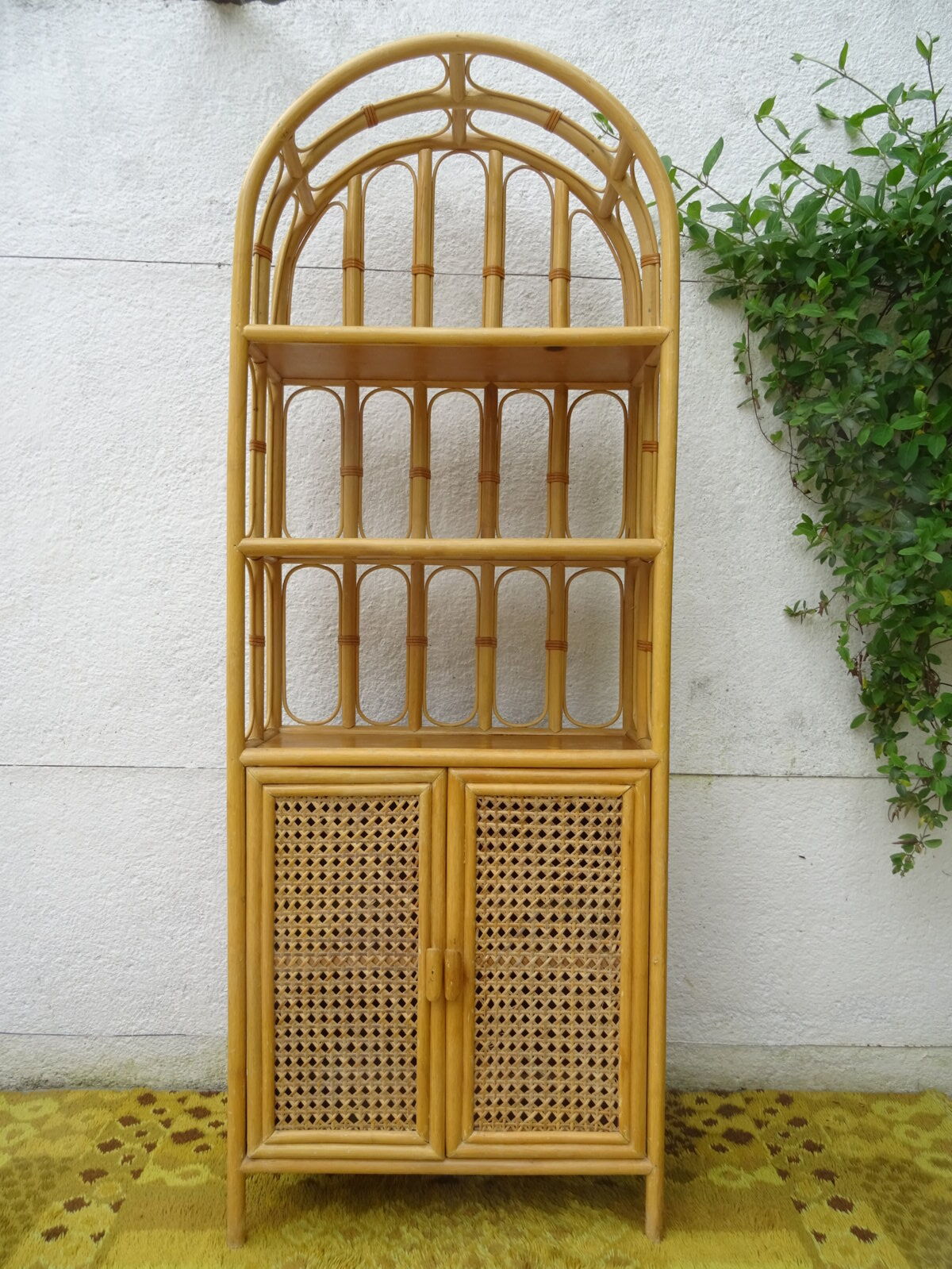 Canning rattan