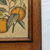 Tableau aux oranges et son cadre en bois