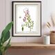 Henna, printed illustration from 1986. Vintage Botany. 24X31cm