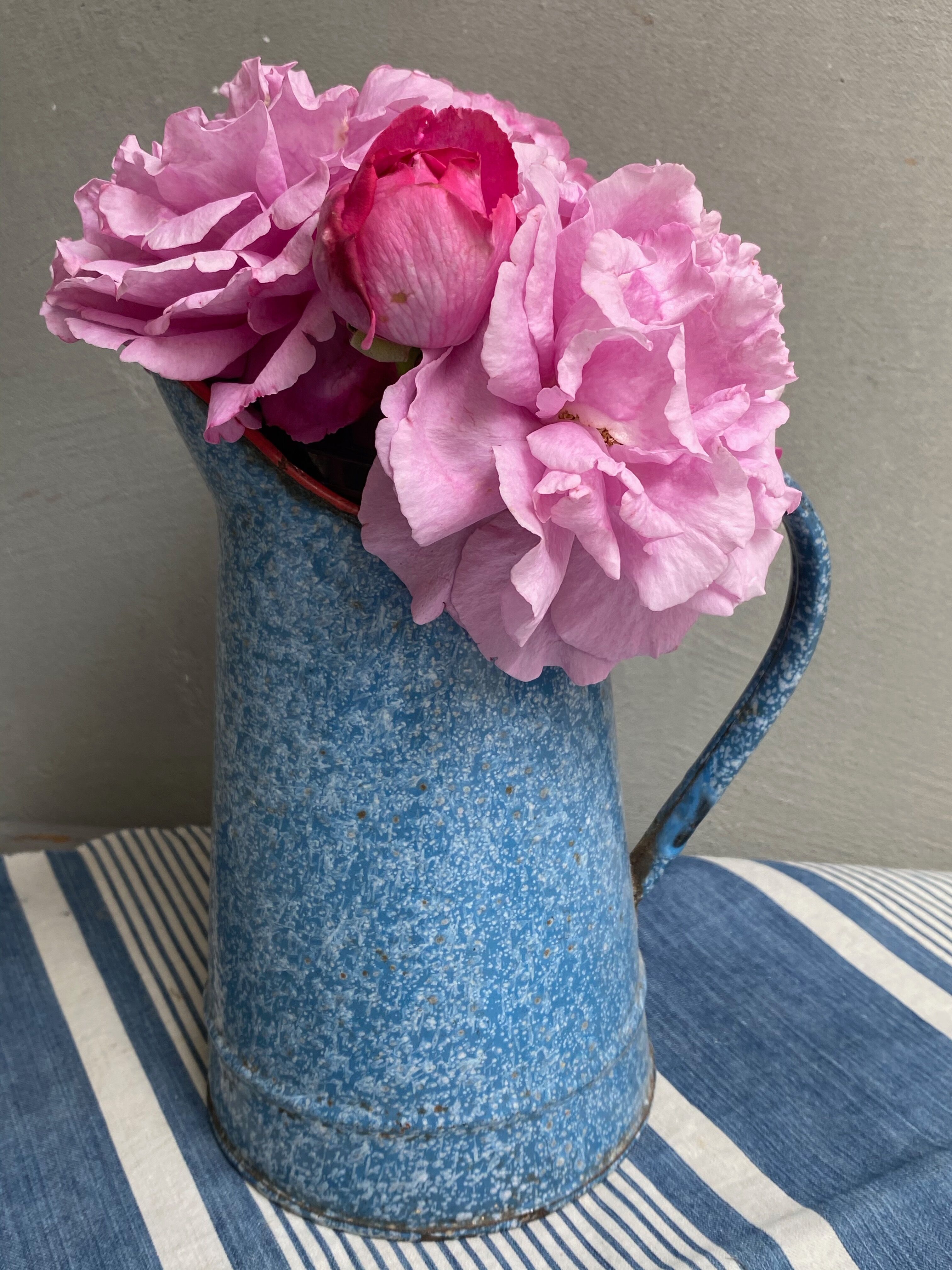 Old enamelled pitcher